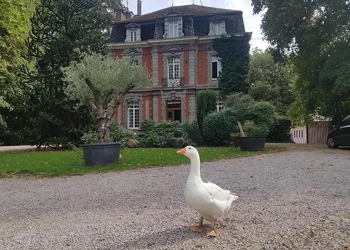 Château Lambert Hotel-Resto-Parking-Shuttle, a 1 ha green Oasis at 8 min from CRL Airport without any noise